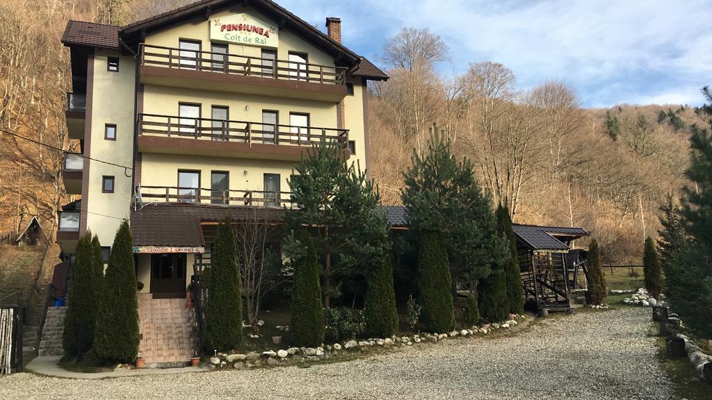Vila Colt De Rai Hotel Rîşnov Exterior foto